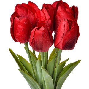 Clayre & Eef 6PL0276 Fiore artificiale Tulipani...