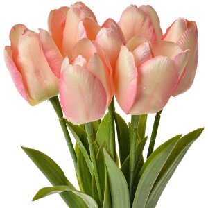 Clayre & Eef 6PL0277 Fiore artificiale Tulipani rosa...