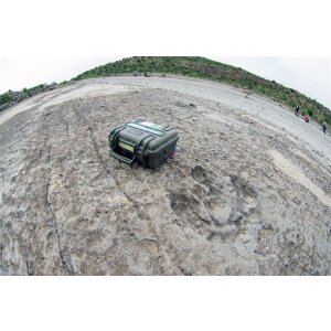 Explorer Cases 3317HL.G Valigia da trasporto con schiuma verde 330x234x170 mm