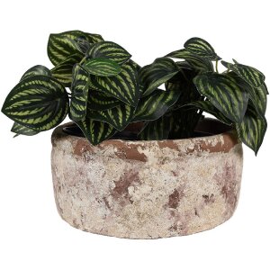Clayre & Eef 6TE0529L Vaso da fiori in terracotta beige marrone Ø 23x11 cm Stile country