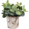 Clayre & Eef 6TE0523M Vaso da fiori in terracotta beige Ø 18x15 cm Stile country