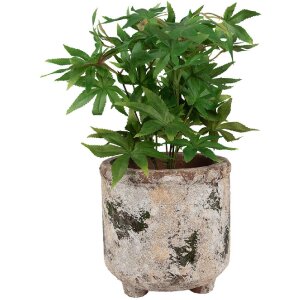 Clayre & Eef 6TE0525L Vaso da fiori in terracotta...