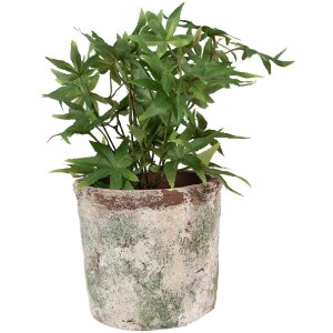 Clayre & Eef 6TE0526XL Vaso da fiori in terracotta beige Ø 18x16 cm Stile country