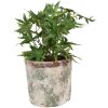 Clayre & Eef 6TE0526XL Vaso da fiori in terracotta beige Ø 18x16 cm Stile country