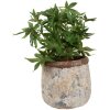 Clayre & Eef 6TE0527L Vaso da fiori in terracotta beige Ø 18x17 cm Stile country