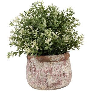 Clayre & Eef 6TE0527S Vaso da fiori in terracotta...