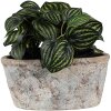 Clayre & Eef 6TE0528L Vaso da fiori in terracotta beige blu 26x13x12 cm Stile country