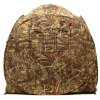 Buteo Photo Gear tenda mimetica Aquila Mark II canna