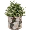 Clayre & Eef 6TE0516L Vaso da fiori in terracotta beige verde Ø 17x15 cm Stile country
