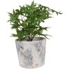 Clayre & Eef 6TE0520L Vaso da fiori in terracotta bianco blu Ø 18x15 cm Stile country