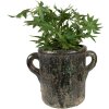 Clayre & Eef 6TE0521L Vaso da fiori verde 26x17x20 cm