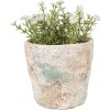 Clayre & Eef 6TE0531S Vaso da fiori Ø 11x11 cm