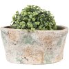 Clayre & Eef 6TE0533M Vaso da fiori Beige Verde 22x13x11 cm