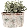 Clayre & Eef 6TE0534L Vaso da fiori 21x13x12 cm