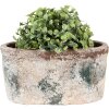 Clayre & Eef 6TE0534M Vaso da fiori 21x12x11 cm