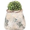 Clayre & Eef 6TE0536L Vaso da fiori 22x15x19 cm