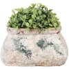 Clayre & Eef 6TE0536S Vaso da fiori 17x13x9 cm
