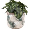 Clayre & Eef 6TE0530M Vaso da fiori beige Ø 14x12 cm