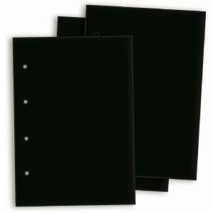 Goldbuch cartoncino fotografico A4 23x30 cm 20 fogli per...