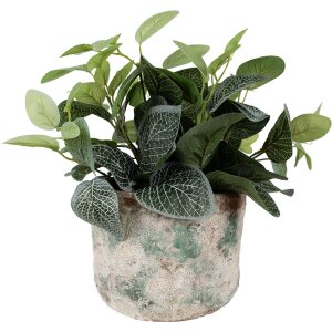 Clayre & Eef 6TE0530L Vaso da fiori Ø 18x15 cm Verde Vintage