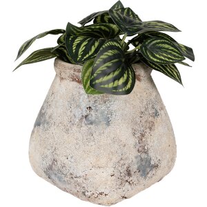 Clayre & Eef 6TE0532L Vaso da fiori beige 18x18x17 cm