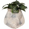 Clayre & Eef 6TE0532L Vaso da fiori beige 18x18x17 cm