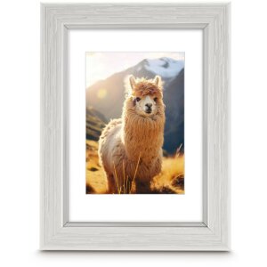 Telaio in plastica Hama Lima look legno oliva grafite grigio rovere Vari formati