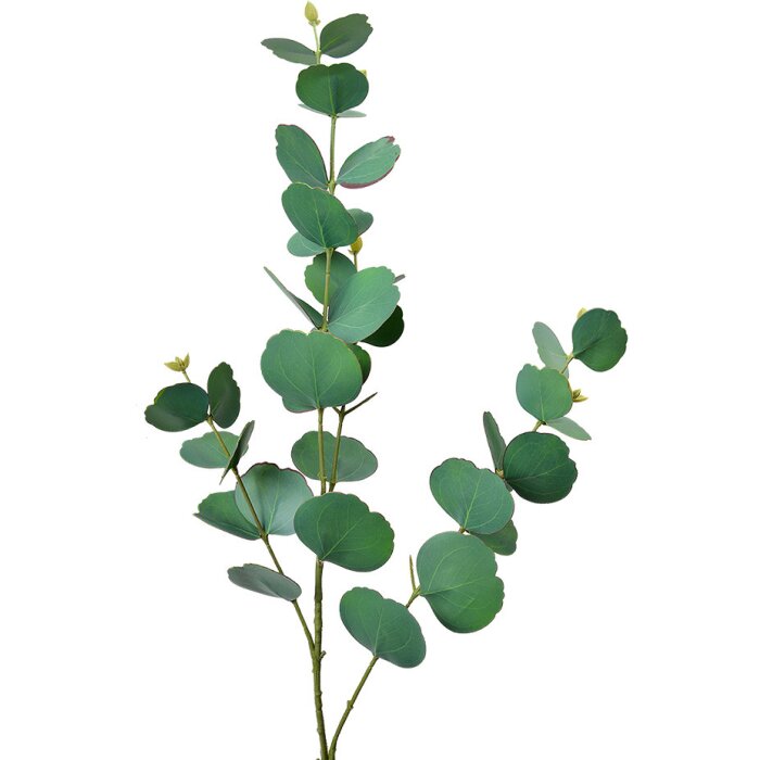Clayre & Eef 5PL0104 Decorazione Ramo 18x6x85 cm