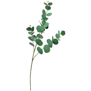 Clayre & Eef 5PL0104 Decorazione Ramo 18x6x85 cm