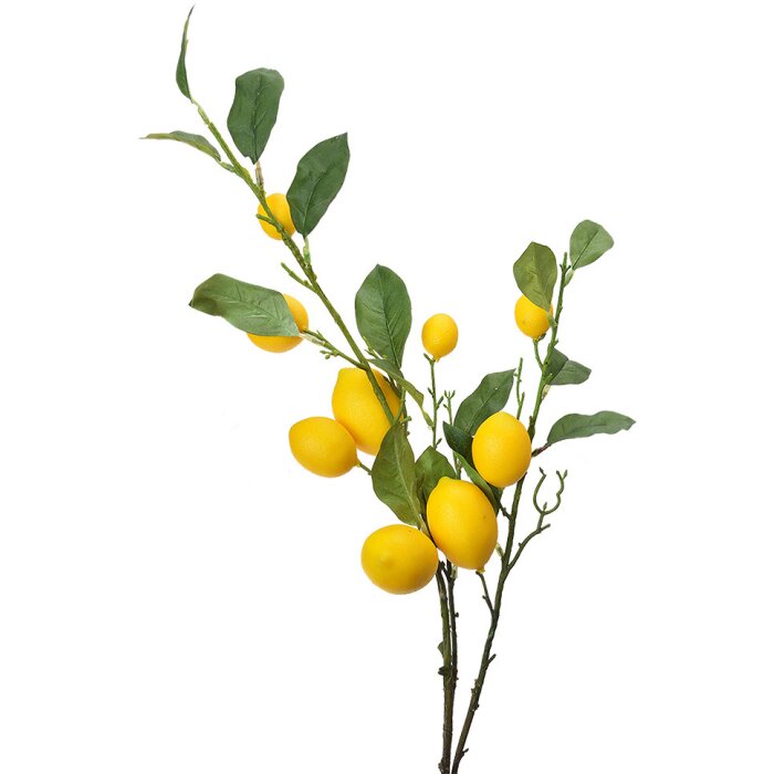 Clayre & Eef 5PL0105 Decorazione ramoscello con limoni 20x7x102 cm