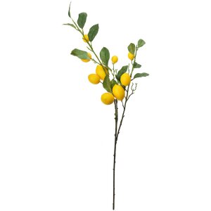 Clayre & Eef 5PL0105 Decorazione ramoscello con limoni 20x7x102 cm
