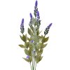 Clayre & Eef 6PL0290 Fiore artificiale lavanda 10x6x62 cm