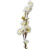 Clayre & Eef 5PL0093 Ramo decorativo con fiori Bianco 10x8x92 cm Plastica