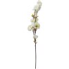 Clayre & Eef 5PL0093 Ramo decorativo con fiori Bianco 10x8x92 cm Plastica