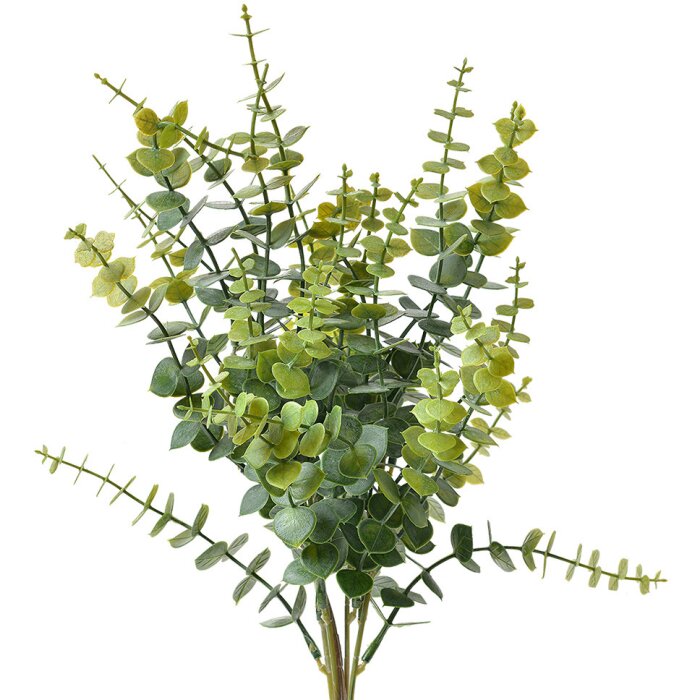 Clayre & Eef 6PL0296 Ramo decorativo verde 12x12x46 cm Plastica