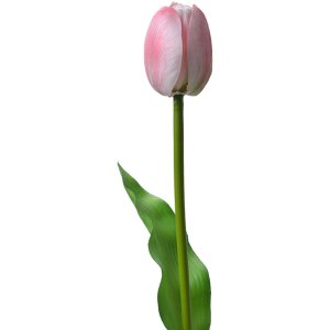 Clayre & Eef 6PL0311 Tulipano artificiale rosa 4x4x32 cm Fiore di plastica