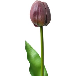 Clayre & Eef 6PL0312 Fiore artificiale Tulipano Viola...