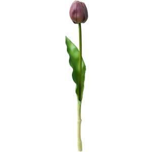 Clayre & Eef 6PL0312 Fiore artificiale Tulipano Viola 4x4x32 cm