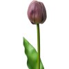 Clayre & Eef 6PL0312 Fiore artificiale Tulipano Viola 4x4x32 cm