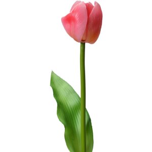 Clayre & Eef 6PL0313 Fiore artificiale Tulipano rosa...