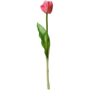 Clayre & Eef 6PL0313 Fiore artificiale Tulipano rosa 4x4x32 cm Plastica