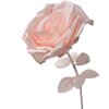 Clayre & Eef 50780 Decorazione Rosa Ø 33x100 cm
