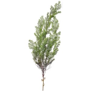 Clayre & Eef 5PL0087 Decorazione ramo di cipresso 10x10x100 cm
