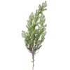 Clayre & Eef 5PL0087 Decorazione ramo di cipresso 10x10x100 cm