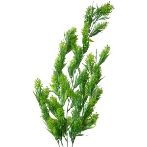 Clayre & Eef 5PL0090 Ramo di decorazione 8x8x75 cm