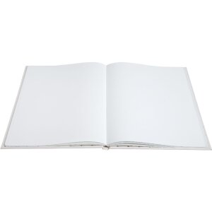Exacompta 47689E Libro degli ospiti 100 pagine argento 27x22cm avorio