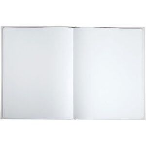 Exacompta 47689E Libro degli ospiti 100 pagine argento 27x22cm avorio