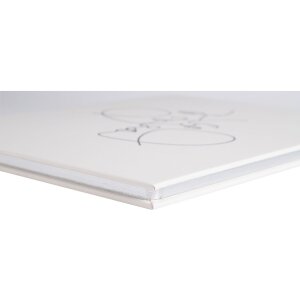 Exacompta 47689E Libro degli ospiti 100 pagine argento 27x22cm avorio