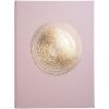 Exacompta 47983E Libro degli ospiti Ellisse rosa 100 pagine oro 27x22 cm