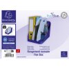 Exacompta 3500383D FLEX BOX Bee Blue Blu navy Blu chiaro